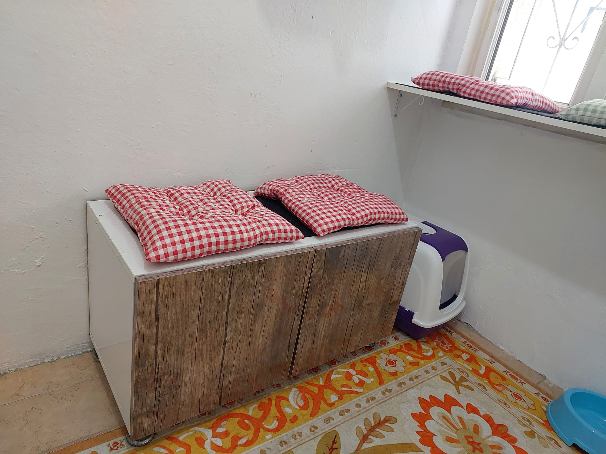 Kayseri Kedi Oteli içinde yıkanabilir minderler ve pencere alanı