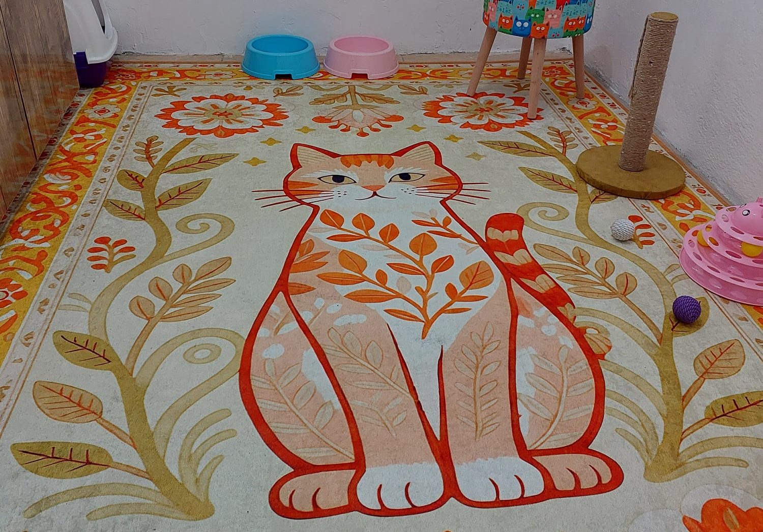 Kayseri Kedi Oteli yıkanabilir zemin ve mama kapları